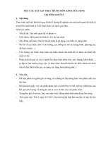 Bài tập lớn môn KTL