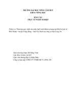 Báo cáo thực tế nghề nghiệp Tham gia quy trình sản xuất chuối xuất khẩu tại trang trại Bời Lời tại xã Đôn Thuận – huyện Trảng Bàng – tỉnh Tây Ninh của công ty Huy Long An