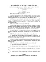 87MAU 1  quy che dan chu co so tai doanh nghiep (3) 