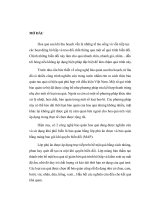 Luận án tiến sĩ Hóa học Nghiên cứu chế tạo và tính chất của màng polyme