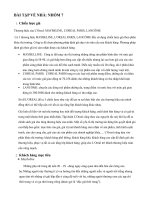 Chiến lược giá và chiến lược sản phẩm của LOREAL