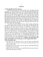 NGHIÊN CỨU HUYẾT KHỐI TĨNH MẠCH SÂU CHI DƯỚI VÀ CÁC YẾU TỐ NGUY CƠ TRÊN SẢN PHỤ MỔ LẤY THAI