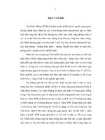 Luận án Tiến sĩ Y học Nghiên cứu đặc điểm dịch tễ học, lâm sàng, phương pháp chẩn đoán, điều trị, dự phòng bệnh Tay Chân Miệng tại Việt Nam