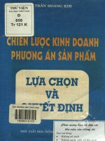 Chiến lược kinh doanh, phương án sản phẩm   lựa chọn và quyết định  trần hoàng kim 