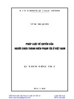 Luận án pháp luật về quyền của người chưa thành niên phạm tội ở việt nam 
