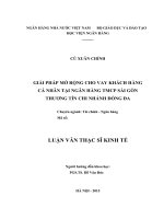 Giải pháp mở rộng cho vay khách hàng cá nhân tại Ngân hàng TMCP Sài gòn Thương tín chi nhánh Đống Đa
