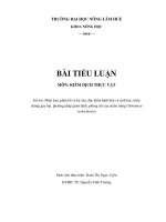 Bài tiểu luận Phân loại, phân bố và ký chủ, đặc điểm hình thái và sinh học, triệu chứng gây hại, phương pháp giám định, phòng trừ của tuyến trùng Globodera rostochiensis