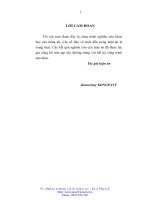 Luận án đẩy mạnh xuất khẩu hàng hoá ở nước cộng hoà dân chủ nhân dân lào trong quá trình hội nhập kinh tế quốc tế 