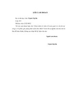 Hoàn thiện tổ chức kế toán quản trị chi phí tại công ty Cổ phần giải pháp phần mềm Hòa Bình