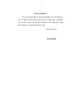 Luận văn phát triển hoạt động ngân hàng đầu tư tại việt nam 