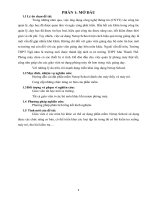 Sáng kiến kinh nghiệm 2016 NETOP SCHOOL ỨNG DỤNG hiệu quả trong giảng dạy