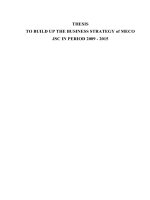 TO BUILD UP THE BUSINESS STRATEGY of MECO JSC IN PERIOD 2009  2015
