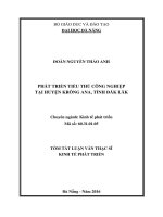 Phát triển tiểu thủ công nghiệp tại huyện krông ana, tỉnh đắk lắk 