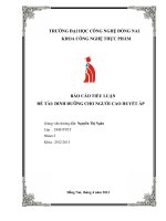 Tiểu luận dinh dưỡng cho người cao huyết áp