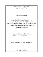 Nghiên cứu sự khác biệt về năng suất lao động giữa các doanh nghiệp có vốn đầu tư nước ngoài và doanh nghiệp trong nước ở các tỉnh miền trung   