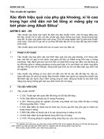 ASTM c 441   05 tiếng việt