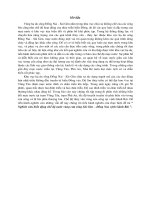 Nghiên cứu biến động chế độ nước vùng cửa sông Sài Gòn - Đồng Nai, Vịnh Gành Rái