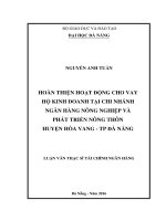 Luận văn thạc sĩ hoàn thiện hoạt động cho vay hộ kinh doanh tại chi nhánh ngân hàng nông nghiệp và phát triển nông thôn huyện hòa vang thành phố đà nẵng