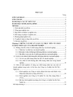 nâng cao chất lượng nhân lực tại công ty bia Hà Nội Nghệ An