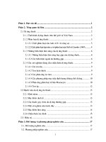 Khóa luận bệnh viêm da dị ứng do thuốc lâm sàng, xét nghiệm và điều trị 