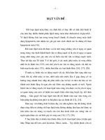 Luận văn nghiên cứu tác dụng điều trị rối loạn lipid máu của viên cholestin