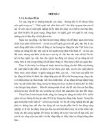 De an tot nghiep cao cap chinh tri