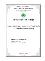 Khóa luận nghiên cứu đặc điểm sinh trưởng và phát triển của vi khuẩn lactobacillus sporogenens 