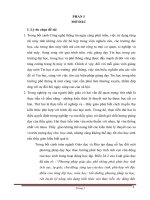 Bài tập nghiệp vụ sư phạm - dạy học tin học theo phương pháp tri thức trong hoạt động