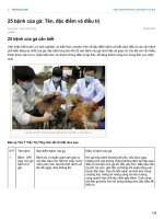 tài liệu kỹ thuật nuôi gà, chăm sóc gà khi bị bệnh, các loại bệnh và phương pháp điều trị 