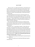 Tiểu luận nghiên cứu xây dựng phương pháp định lượng ketoprofen trong huyết tương 