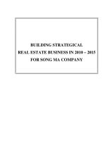 Xây dựng chiến lược kinh doanh tại công ty bất động sản sông hồng