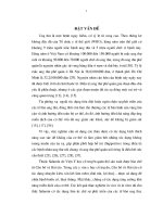 Luận văn nghiên cứu tác dụng của thuốc salamin đến một số chỉ tiêu huyết học, hóa sinh và miễn dịch ở bệnh nhân ung thư phế quản đang xạ trị 