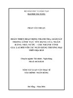 Hoàn thiện hoạt động thanh tra giám sát trong lĩnh vực tín dụng của ngân hàng nhà nước chi nhánh tỉnh gia lai đối với các ngân hàng thương mại trên địa bàn 