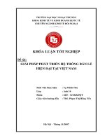 Giải pháp phát triển hệ thống bán lẻ hiện đại tại việt nam 