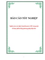 Khóa luận nghiên cứu xác định ciprofloxacin (CIP) trong một số dược phẩm bằng phương pháp điện hóa 