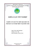 Khóa luận nghiên cứu đáp ứng miễn dịch đối với protein tái tổ hợp MBP VT2eB trên thỏ 