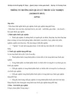 THÔNG TƯ HƯỚNG DẪN QUẢN LÝ THUỐC GÂY NGHIỆN