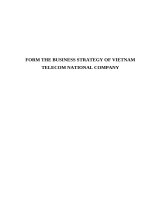 FORM THE BUSINESS STRATEGY OF VIETNAM TELECOM NATIONAL COMPANY