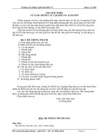 sửa chữa bảo dưỡng hệ thống phanh ô tô