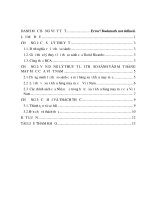 Đề tài Vận dụng lý thuyết lợi thế so sánh vào mặt hàng may mặc của Việt Nam