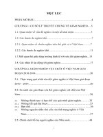 BÌNH LUẬN QUÁ TRÌNH GIẢM NGHÈO VẬT CHẤT VIỆT NAM GIAI ĐOẠN 2010  2015