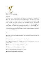 Louis vuitton casestudy