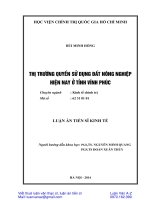 Luận án thị trường quyền sử dụng đất nông nghiệp hiện nay ở tỉnh vĩnh phúc 