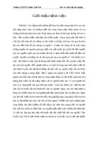 Báo cáo thực tập tổ chức, chức năng, nhiệm vụ và tổ chức cung ứng thuốc của khoa dược và nhiệm vụ cụ thể 