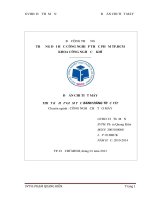Đồ án Chi tiết máy Thiết kế hộp giảm tốc bánh răng trục vít