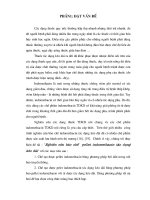 Tiểu luận nghiên cứu bào chế pellet indomethacin tác dụng kéo dài