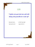 Tiểu luận nghiên cứu quá trình sản xuất chất kháng sinh penicillin từ vi sinh vật 