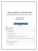 báo cáo bệnh cây chuyên khoa Một số bệnh thường gặp trên cây tiêu, cà phê, lạc