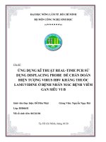 Tiểu luận ứng dụng kĩ thuật real time pcr sử dụng displacing probe đểchẩn đoán hiện tượng virus HBV kháng thuốc lamuvidine ở bệnh nhân mắc bệnh viêm gan siêu vi b 