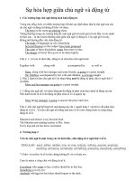 Sự hòa hợp giữa chủ ngữ và động từ